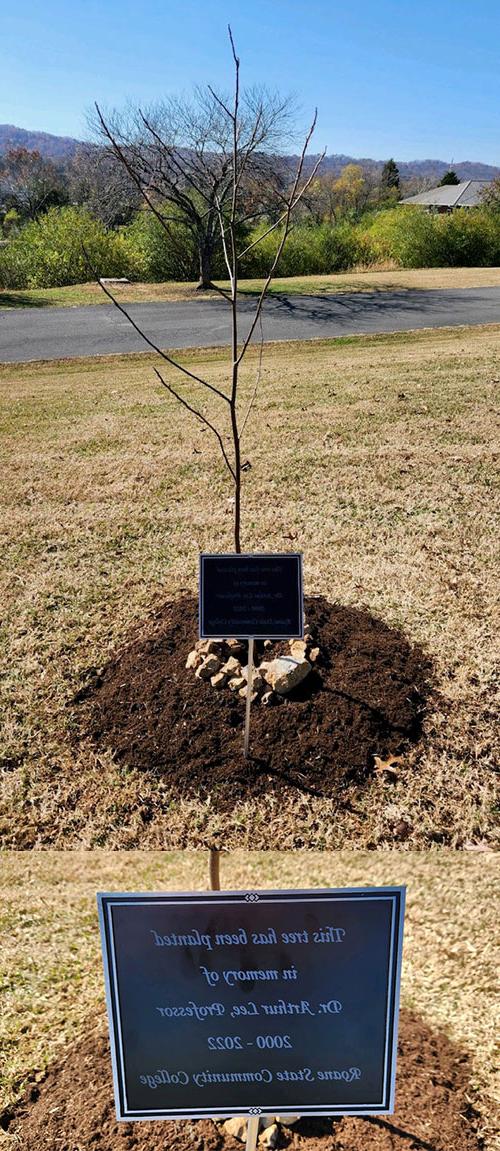上面的图片是一棵幼树，种植了一个金属标志. 下面的图片是一个金属标志，上面写着“这棵树是为了纪念Dr. 李亚德教授. 2000-2022年贝博体育.""